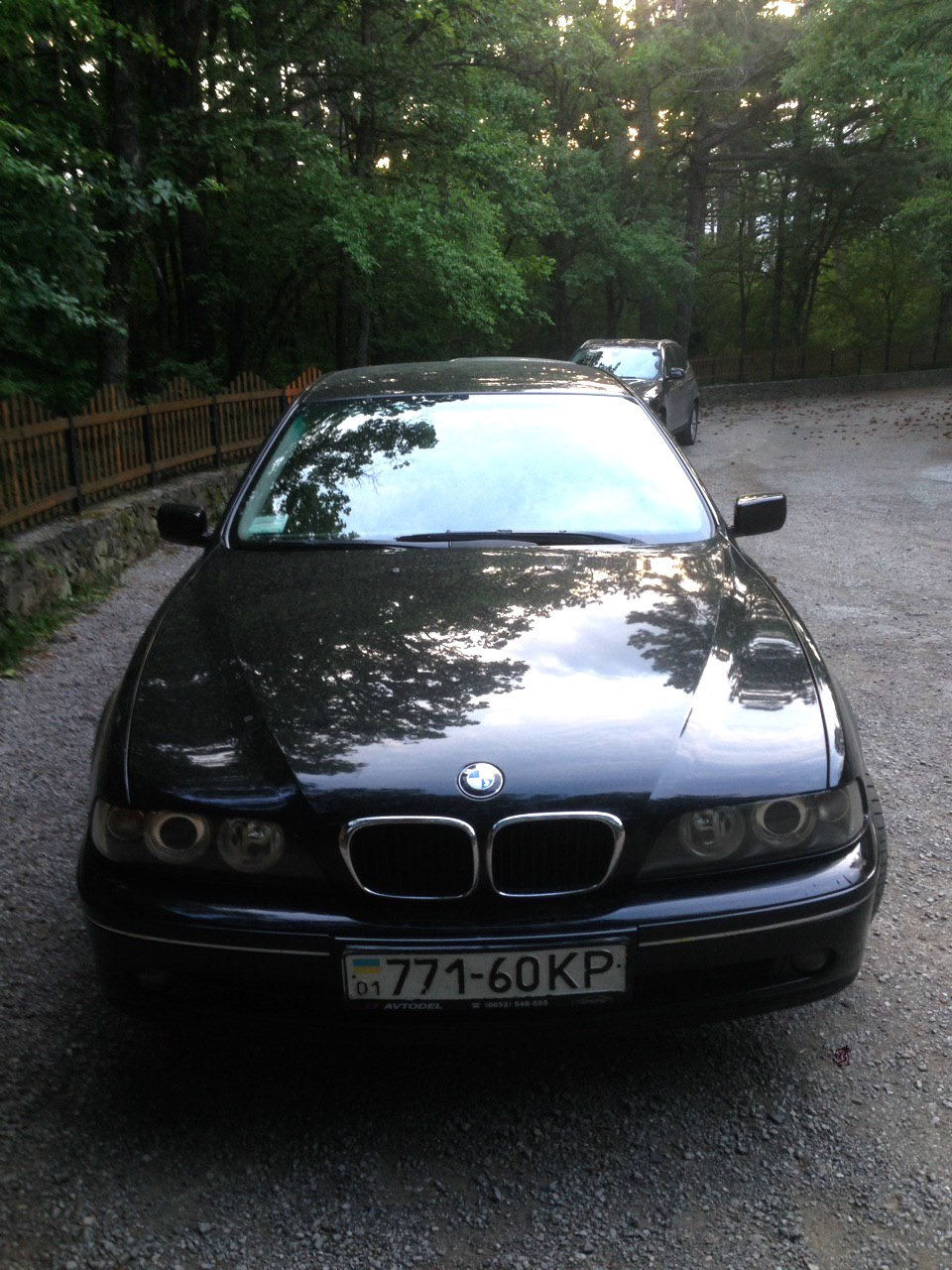 Моя первая машина. Начало — BMW 5 series (E39), 2,5 л, 2003 года | покупка  машины | DRIVE2