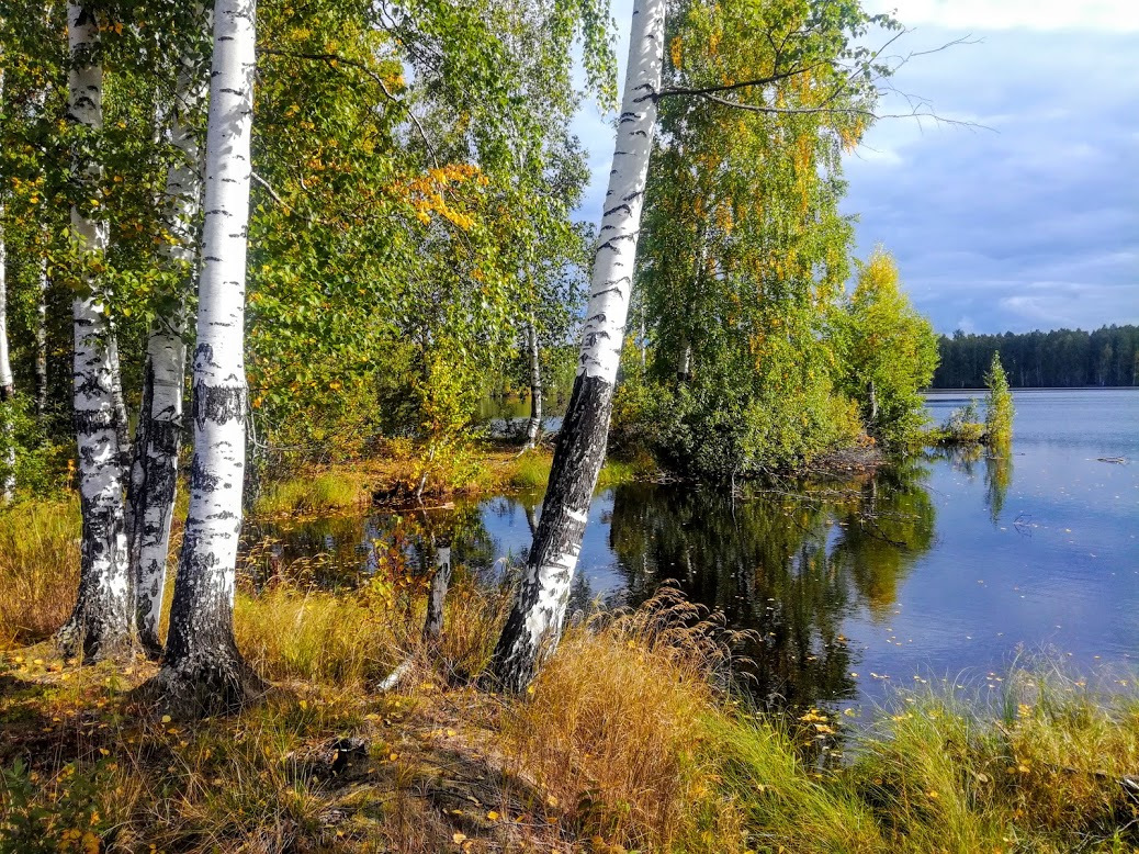 Лес возле речка шаблон. Лес около чистого ключа в Каменске Уральском. Текст около леса река.