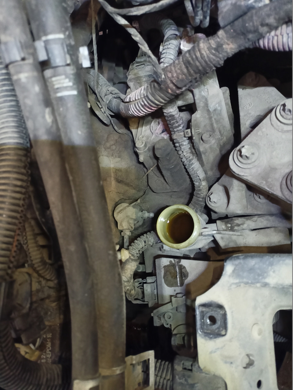 Очередное ТО Опель Астра Н — Opel Astra H, 1,6 л, 2008 года | плановое ...