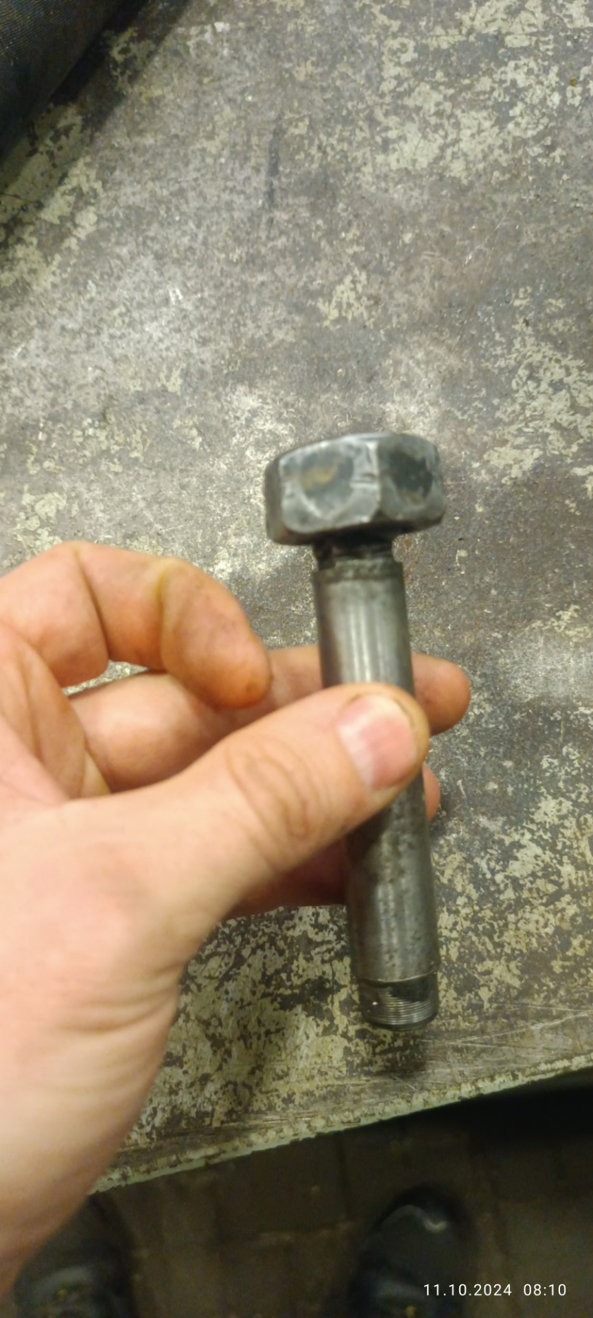 Фото в бортжурнале SsangYong Kyron