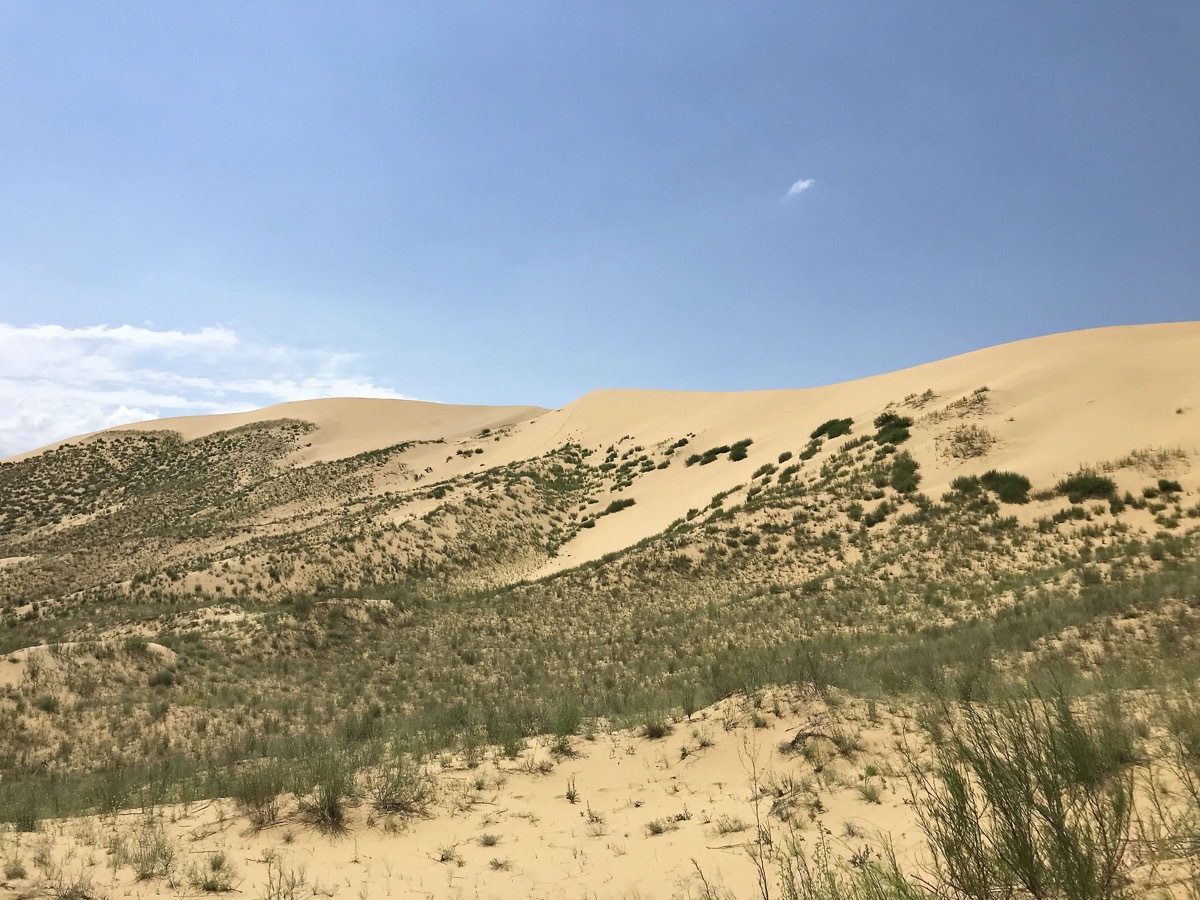 Сарыкум отель