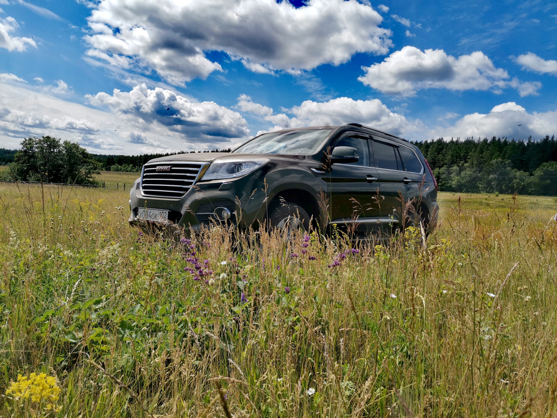 Хавал м6 отзывы реальных владельцев механика. Haval h9 владелец. Haval h9 на бездорожье. Haval h9 2018 года. Haval h9 2024.