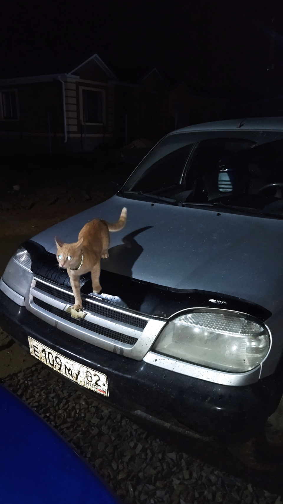 Полный перетряс — Chevrolet Niva, 1,7 л, 2003 года | визит на сервис ...