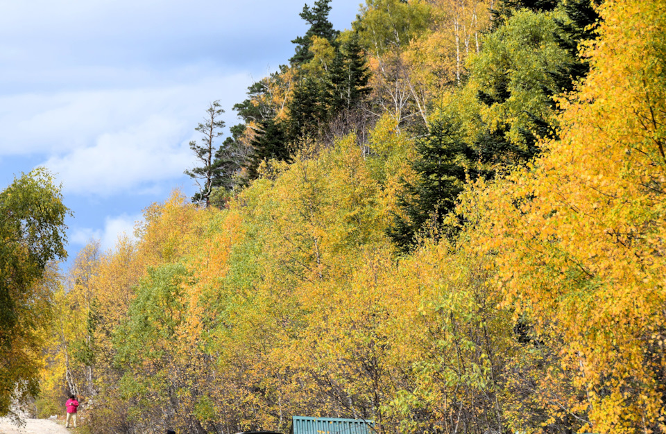 Фото в бортжурнале Renault Duster (1G)