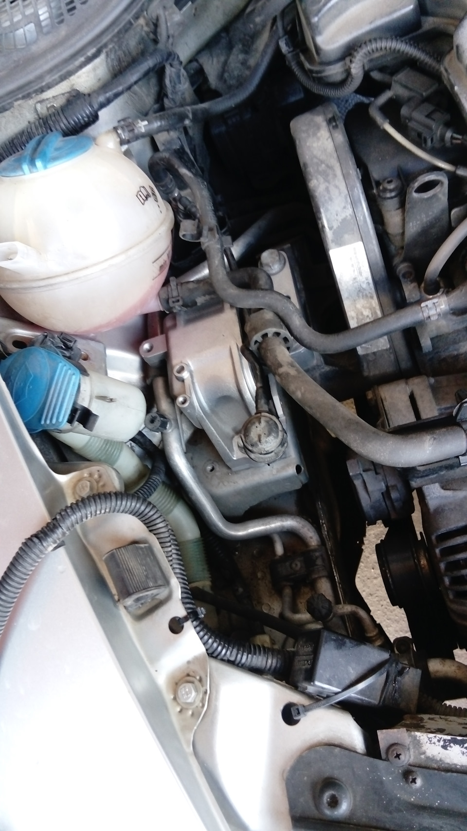 Фото в бортжурнале Skoda Octavia A5 Mk2