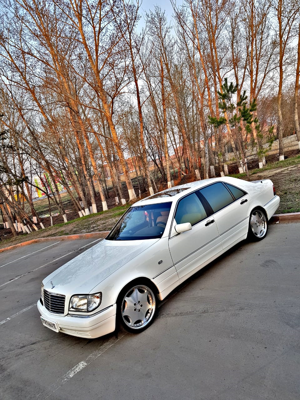 Новые колёса — Mercedes-Benz S-Class (W140), 3,2 л, 1996 года ...