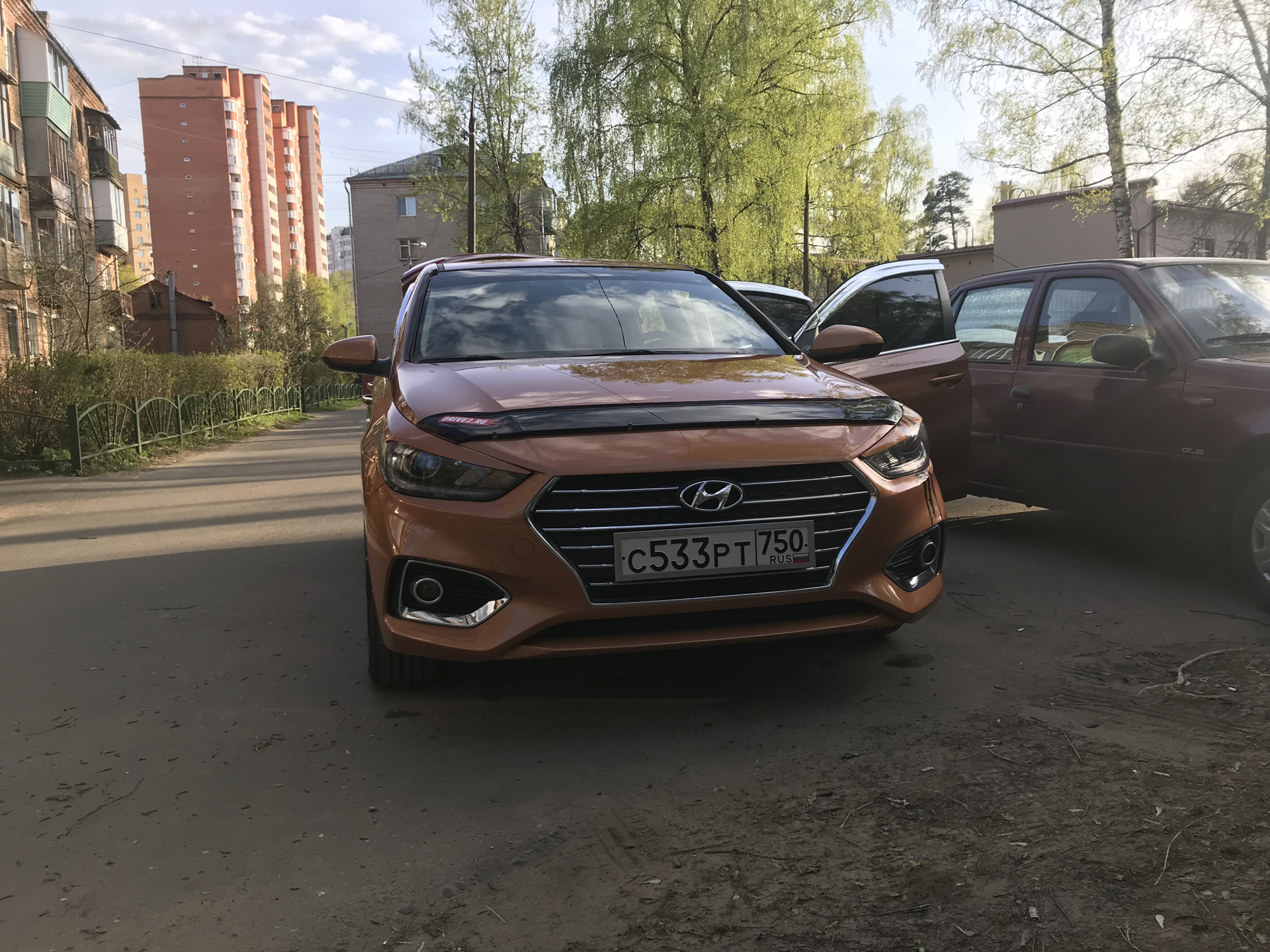 мухобойка солярис