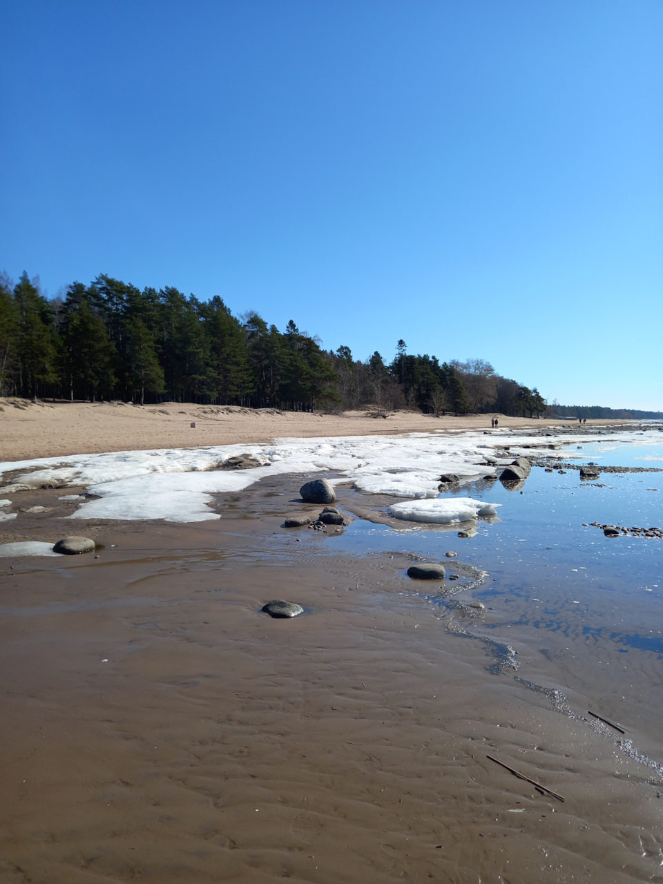 Фото в бортжурнале Renault Sandero 2G