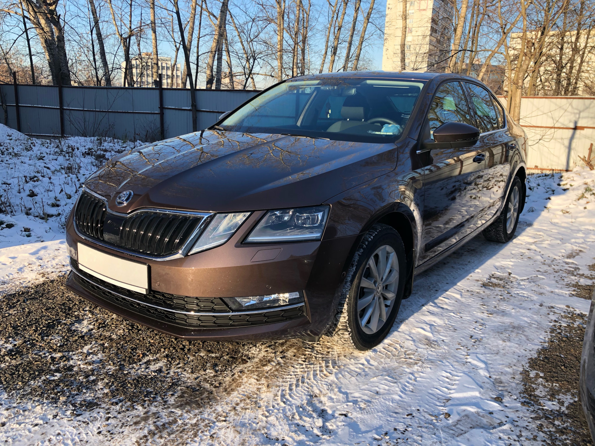 Потеет фара SKODA Octavia A7 FL + замена по гарантии — Skoda Octavia A7 ...