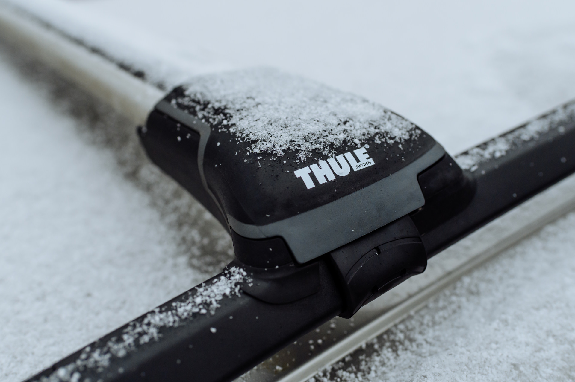 Thule DOCKGRIP 895