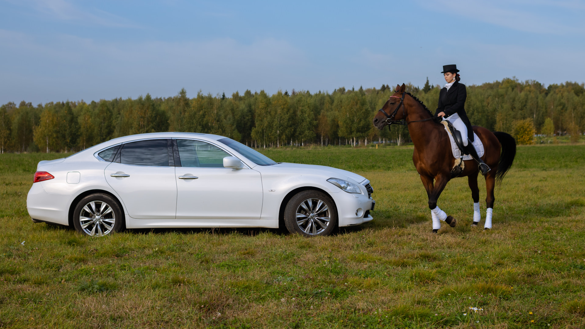 Infiniti M (3G) 3.7 бензиновый 2012 | Маленький бегемот на DRIVE2