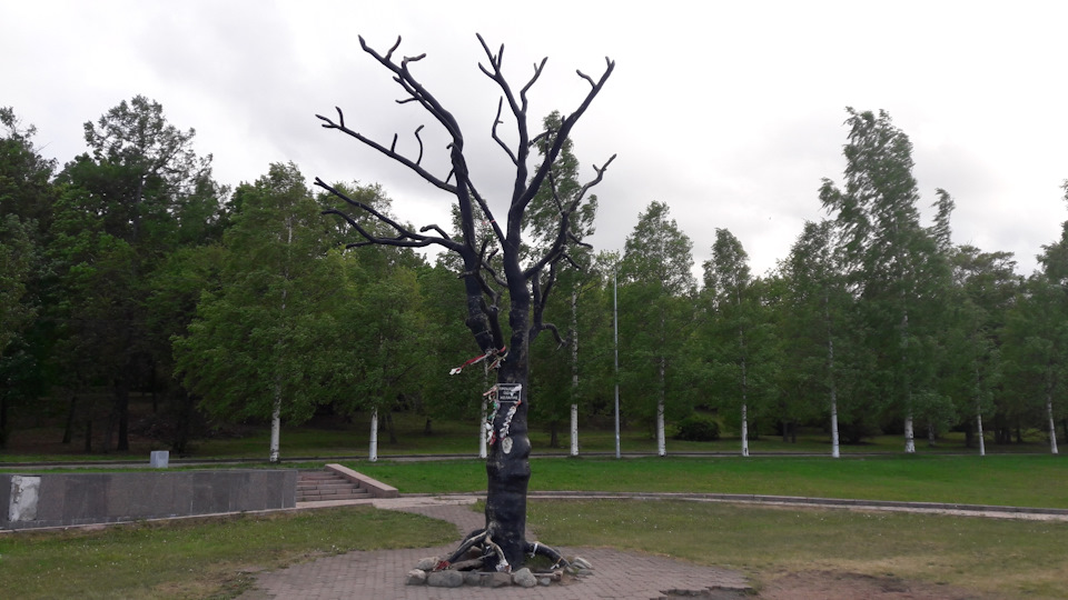 Дерево желаний. — Audi A4 Avant (B7)