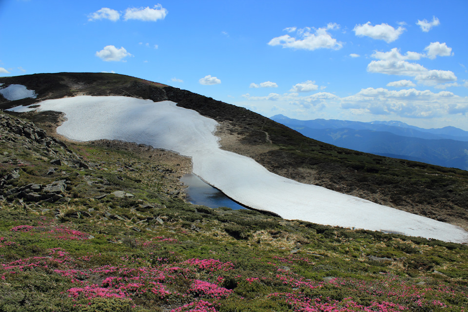 Камера заднего вида — Audi Q7 (1G), 3 л, 2009 года | наблюдение | DRIVE2