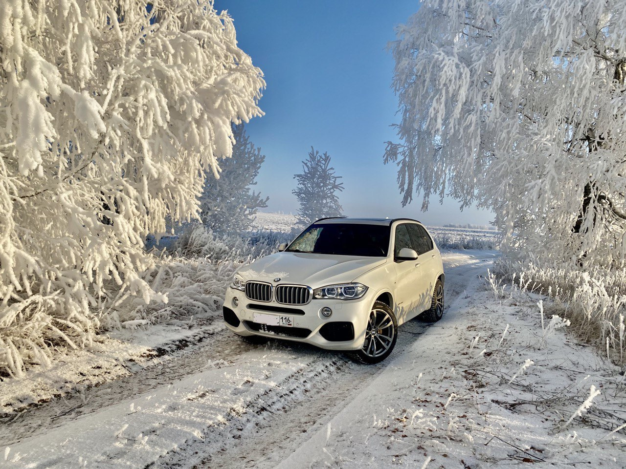 М5 зима. BMW x5 зима. BMW x5 в снегу. BMW x7 2022 зима. БМВ Икс 6 зимой.