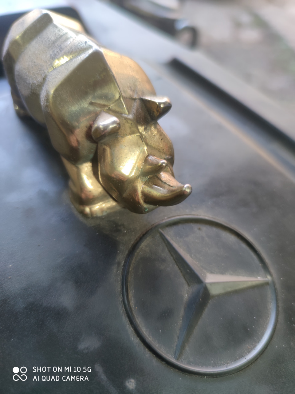 Золотой носорог и мерин — SsangYong Musso Sports