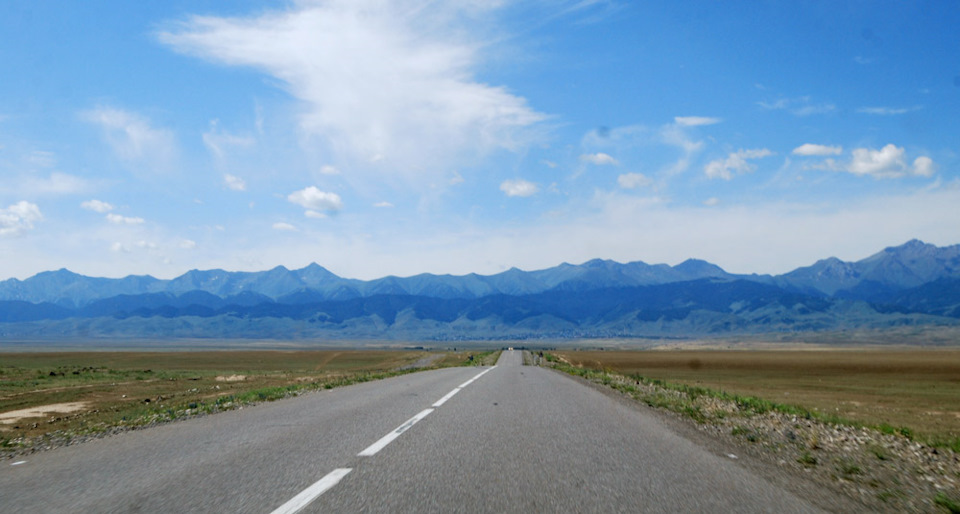 Грибы 2021 — Nissan Primera (P10), 2 л, 1994 года | покатушки | DRIVE2