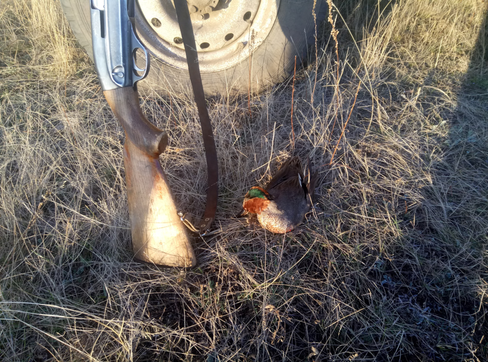 Раскоксовка колец димексидом субару - 91 фото