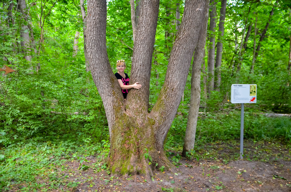 Утепление крыши гаража — DRIVE2