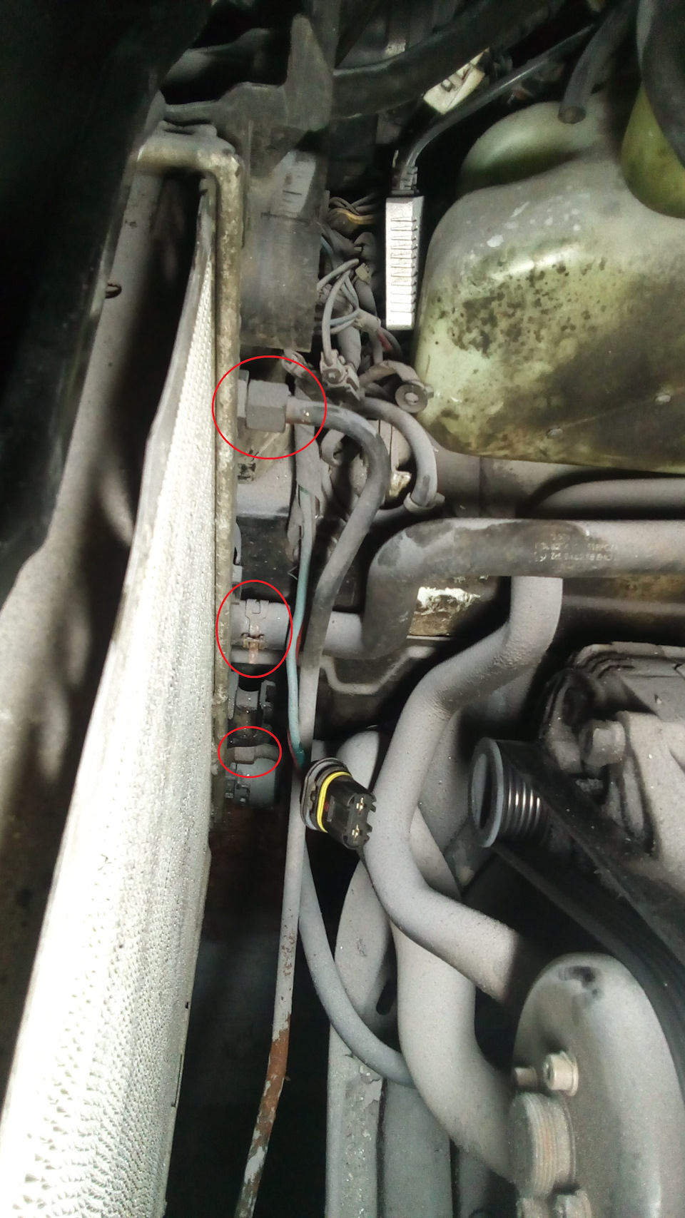 Фото в бортжурнале Mercedes-Benz S-class (W220)