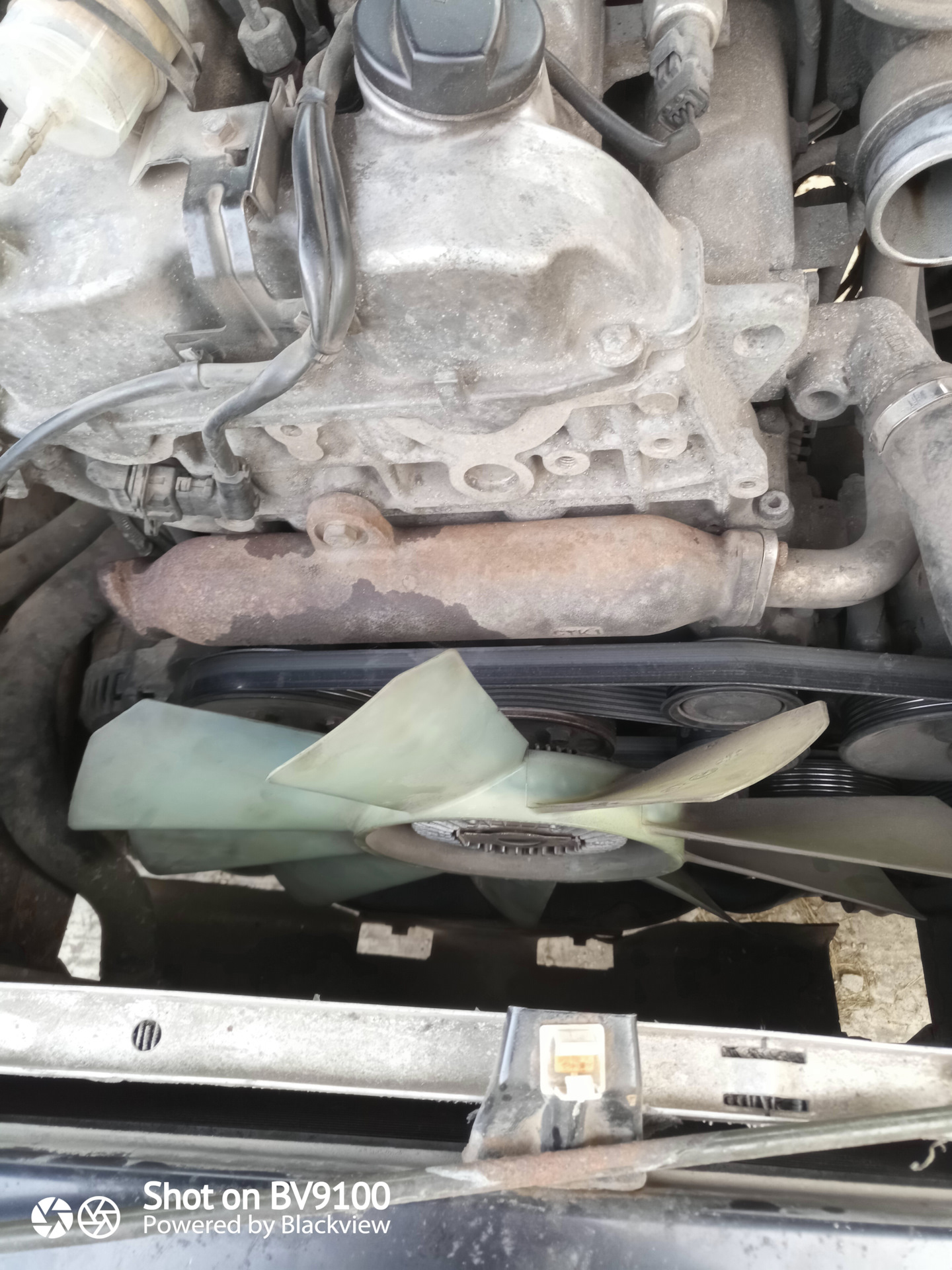 Ай ай ай убили негра. — SsangYong Actyon Sports (1G), 2 л, 2008 года ...