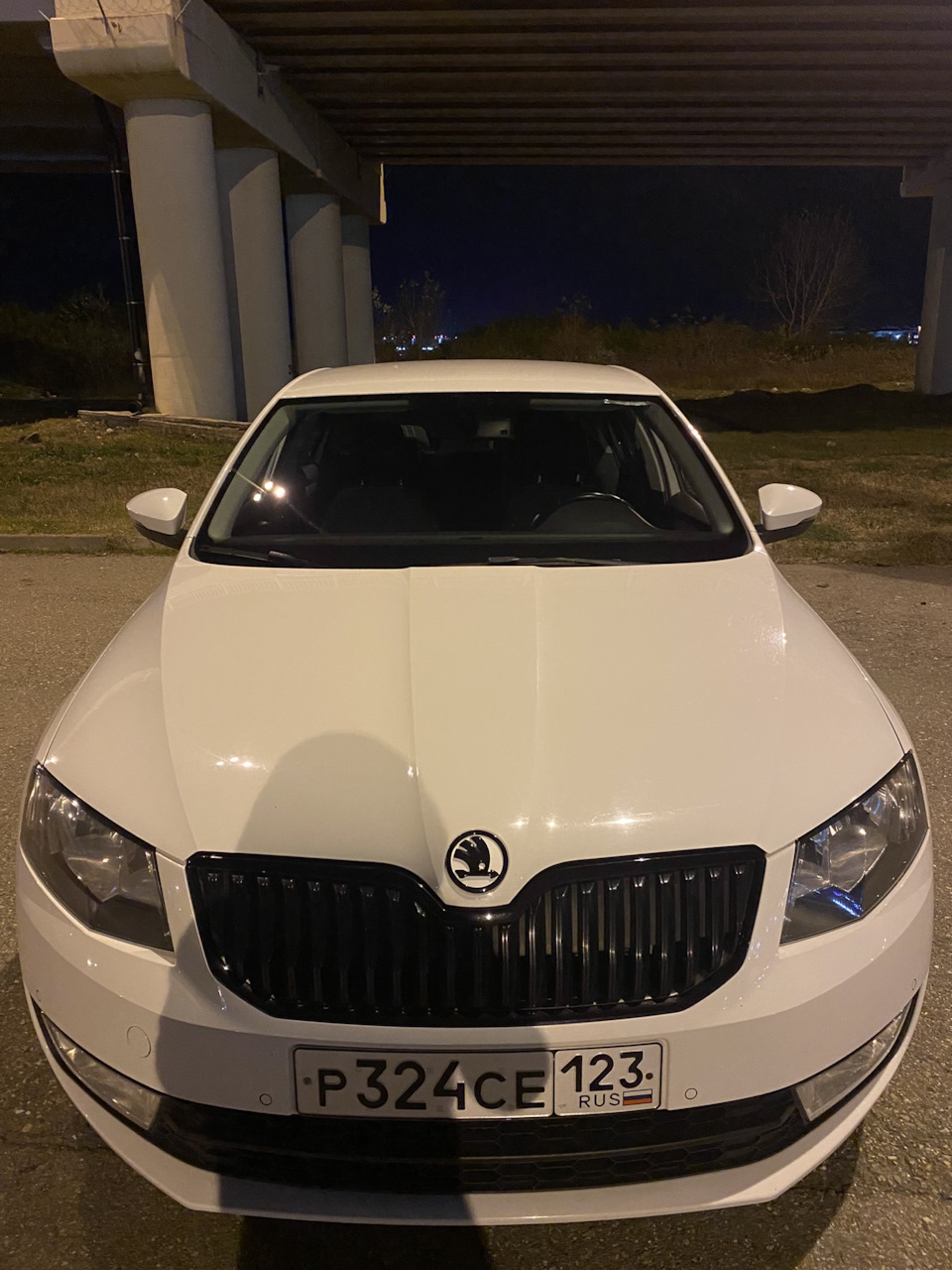 Черная окантовка решетки радиатора. — Skoda Octavia A7 Mk3, 1,8 л, 2016 ...