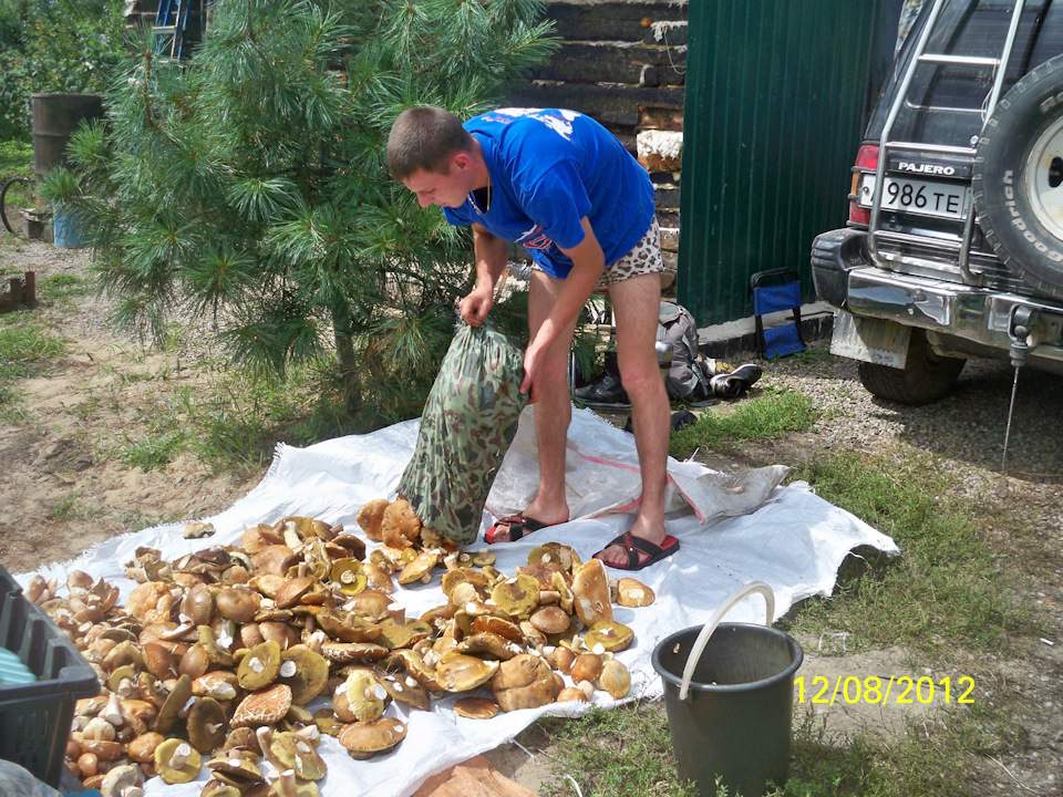 Камри 40 какой аккумулятор должен быть - 91 фото