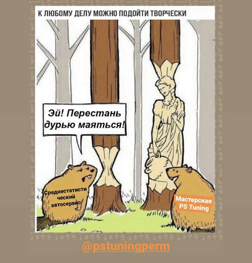Новый мем с бобром
