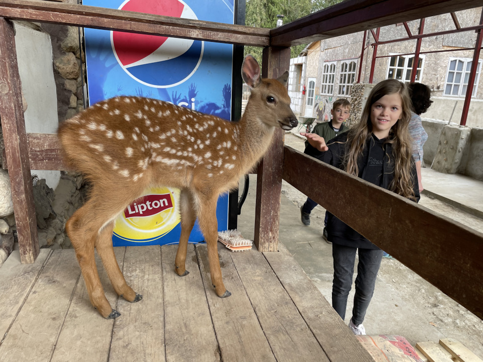 Фото в бортжурнале Cadillac Escalade (3G)