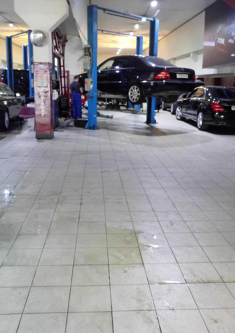 Очередные 8000 км позади — Mercedes-Benz S-Class (W220), 3,2 л, 2001 ...