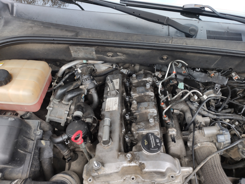 Фото в бортжурнале SsangYong Kyron