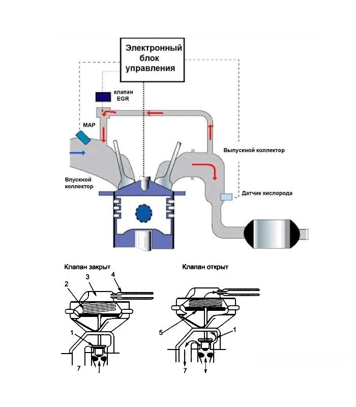 Принцип работы клапана егр на бензине шкода