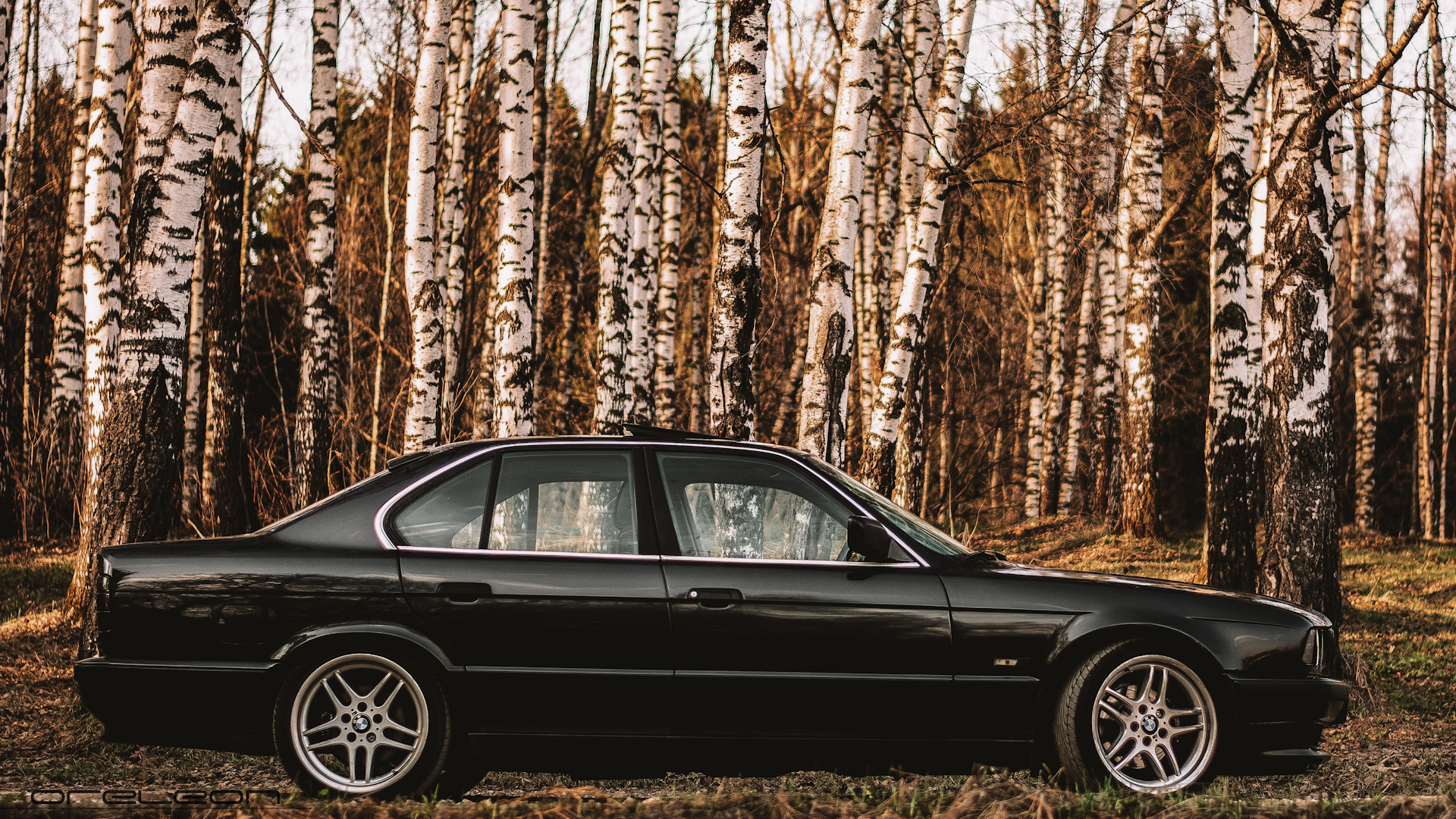 BMW 5 series (E34) 2.5 бензиновый 1992 | М50В25 на DRIVE2