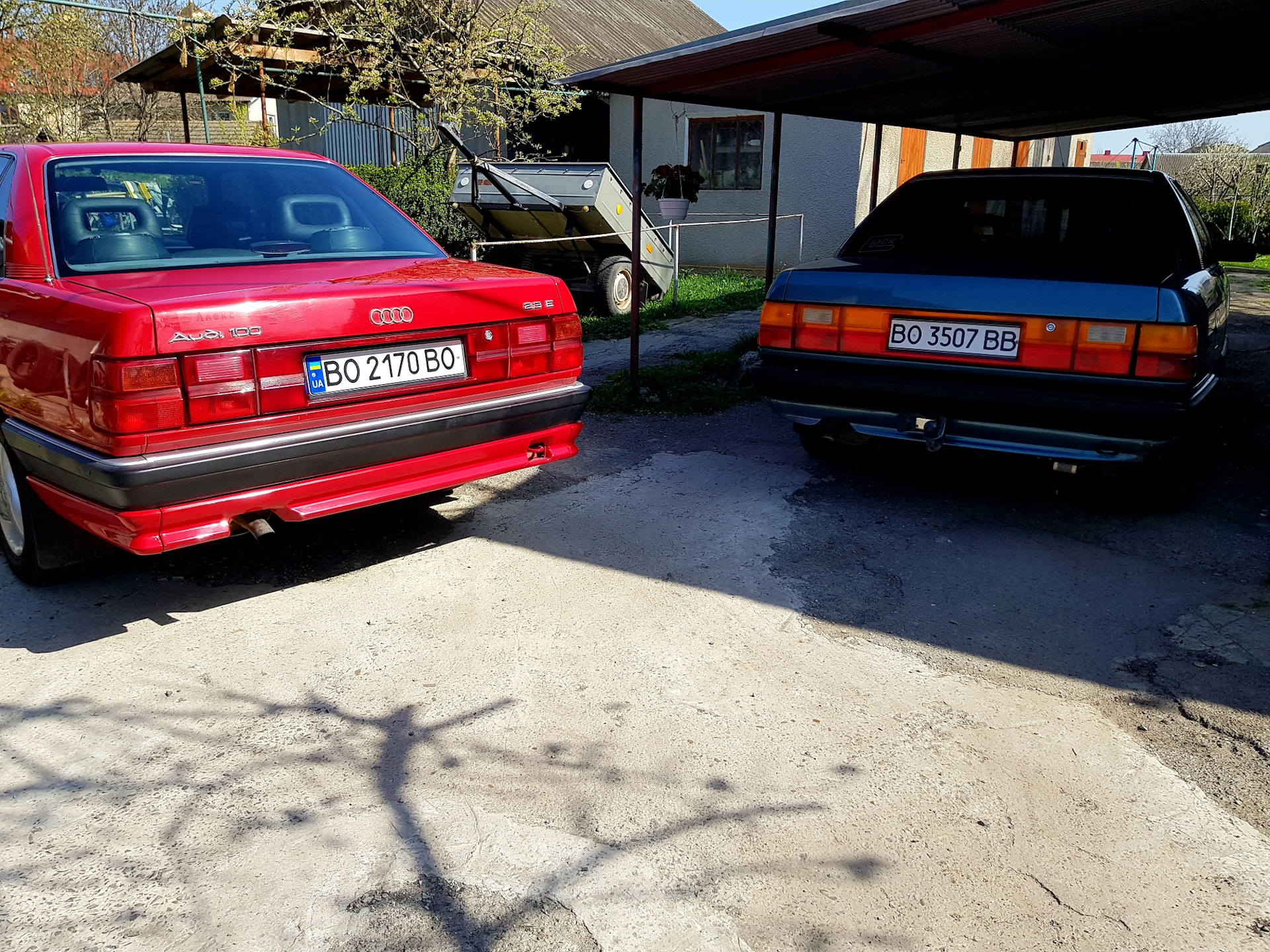 Hella Red Black Golf 2 Купить