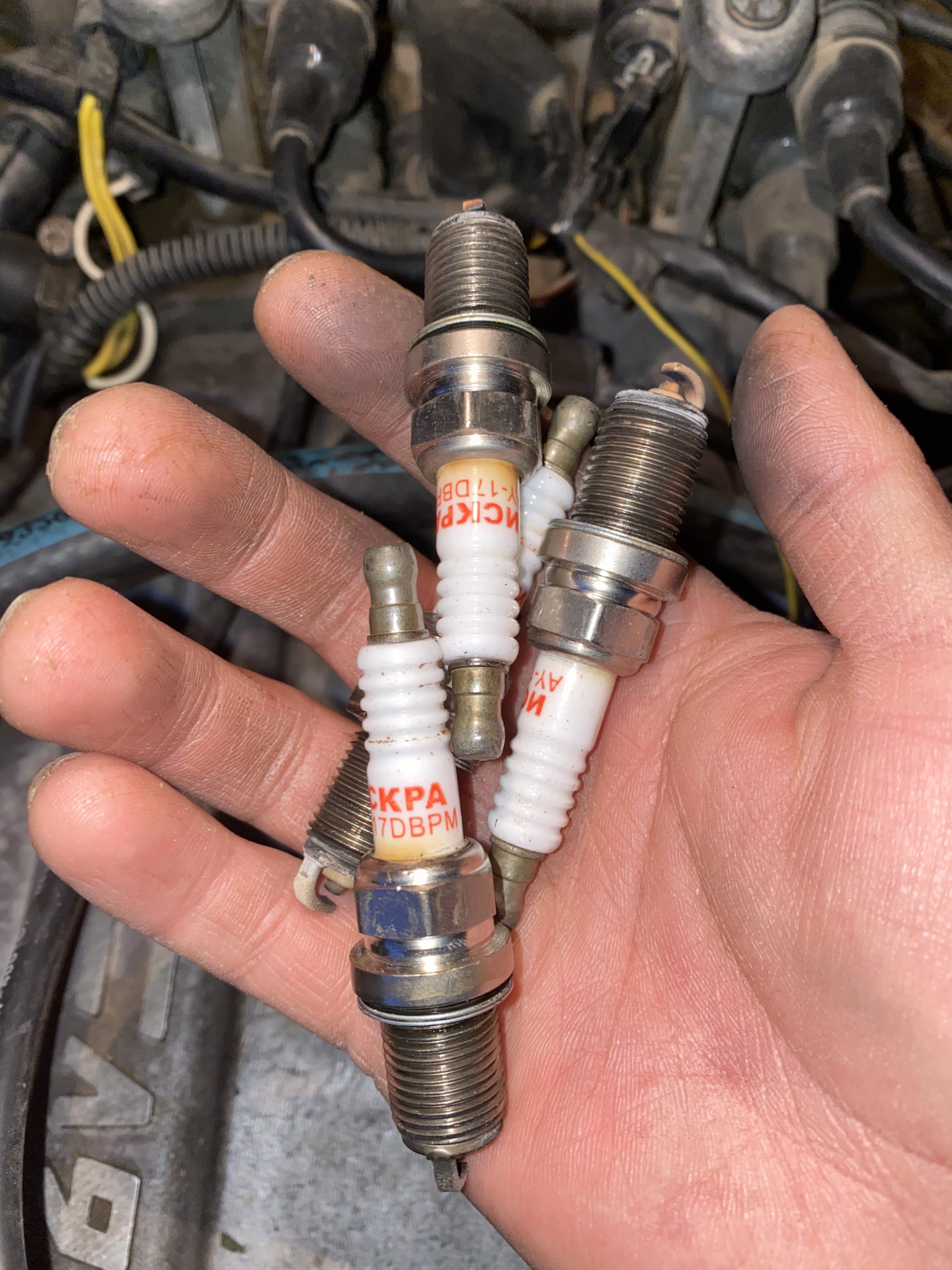 Метки грм — ГАЗ Газель, 2,4 л, 2009 года | визит на сервис | DRIVE2