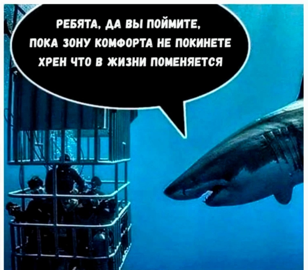 Странный юмор :) - Сообщество "Позитивов ☺ зы" на DRIVE2