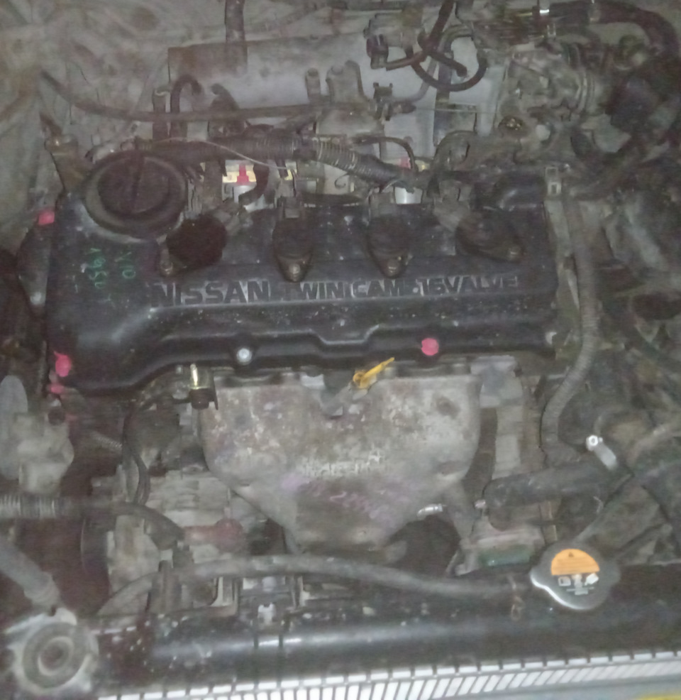 Поставил контракт — Nissan Tino, 1,8 л, 1999 года | визит на сервис ...