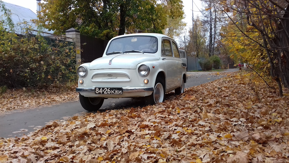 Запорожец автомобиль фото горбатый