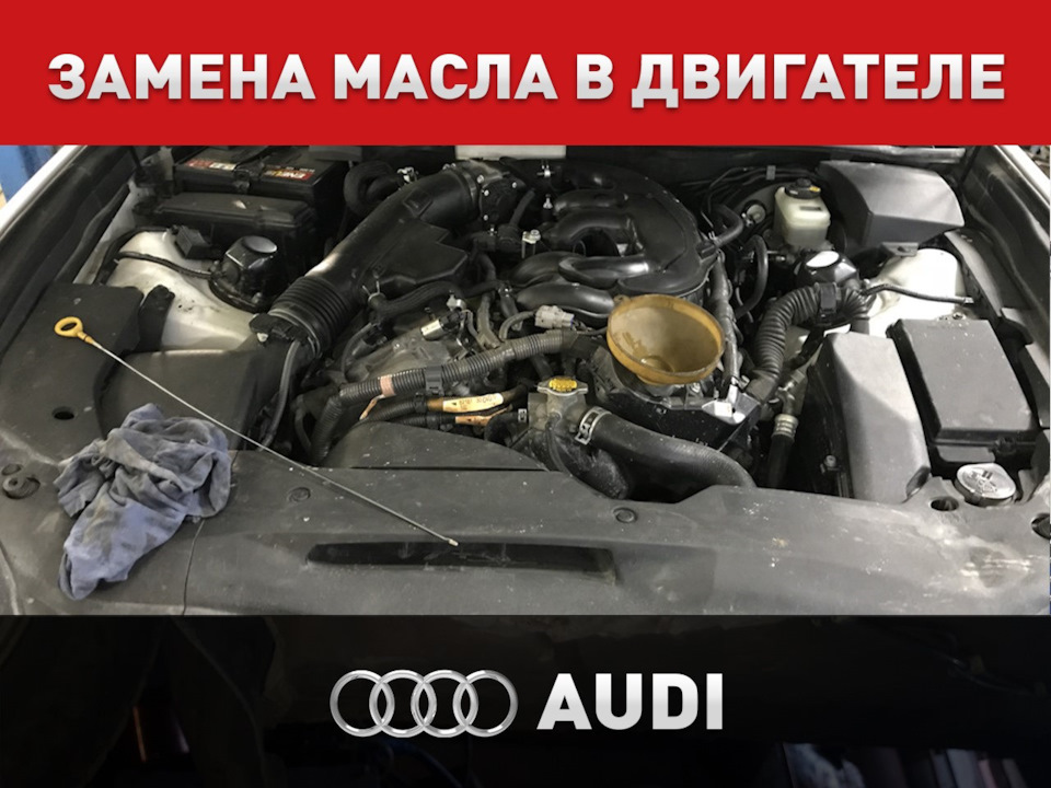 Замена масла в двигателе Audi (Ауди) — Автоцентр ПИК на DRIVE2