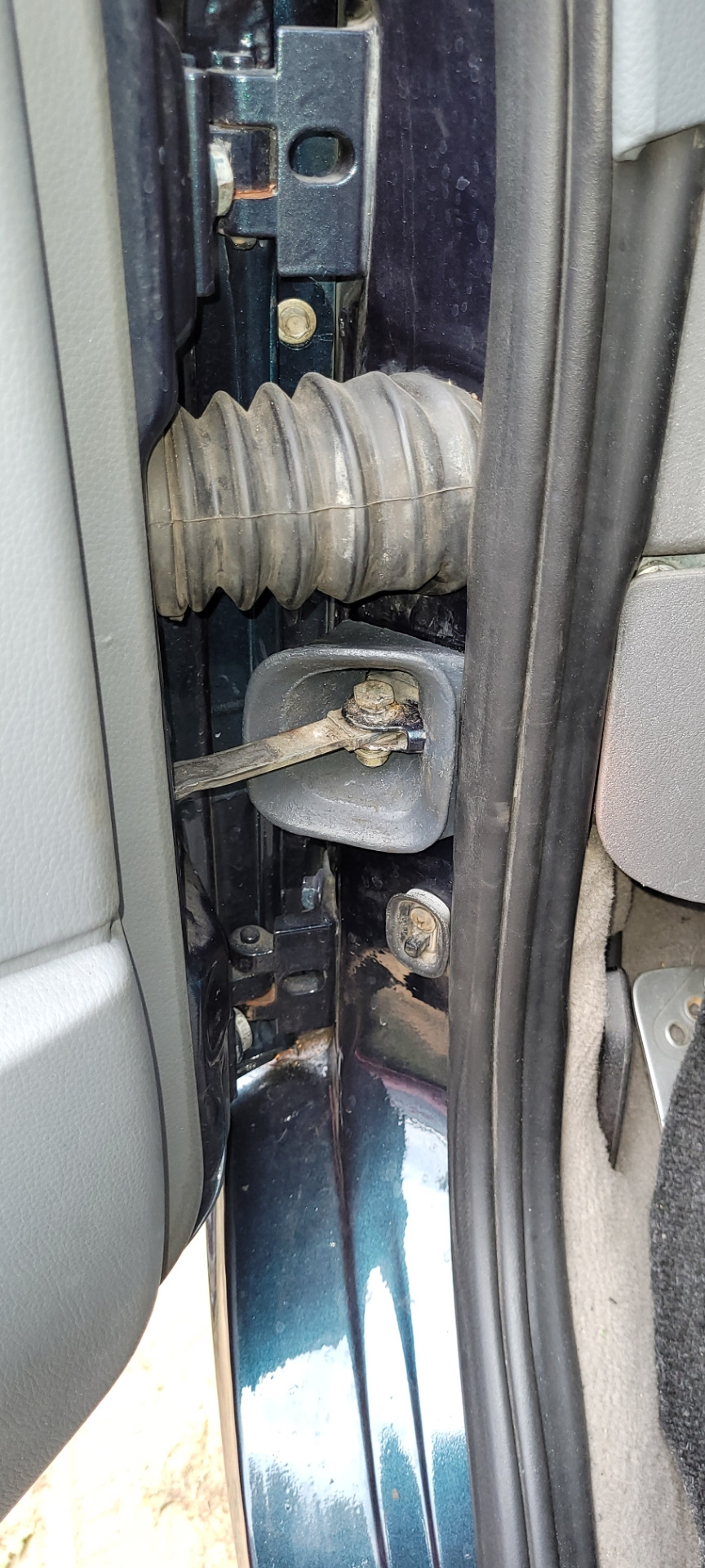 Пыльник ограничителя двери — Volkswagen Multivan (T4), 2,5 л, 2002 года ...