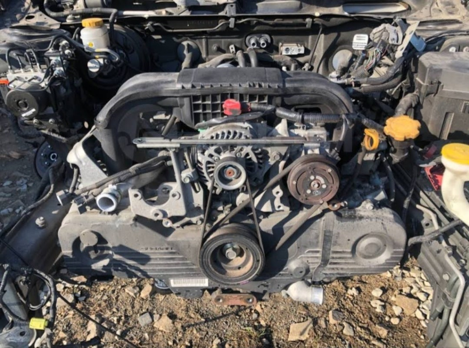 Свап EJ251 на EJ253 (2010 c DBA-BM9) — Subaru Forester (SG), 2,5 л ...