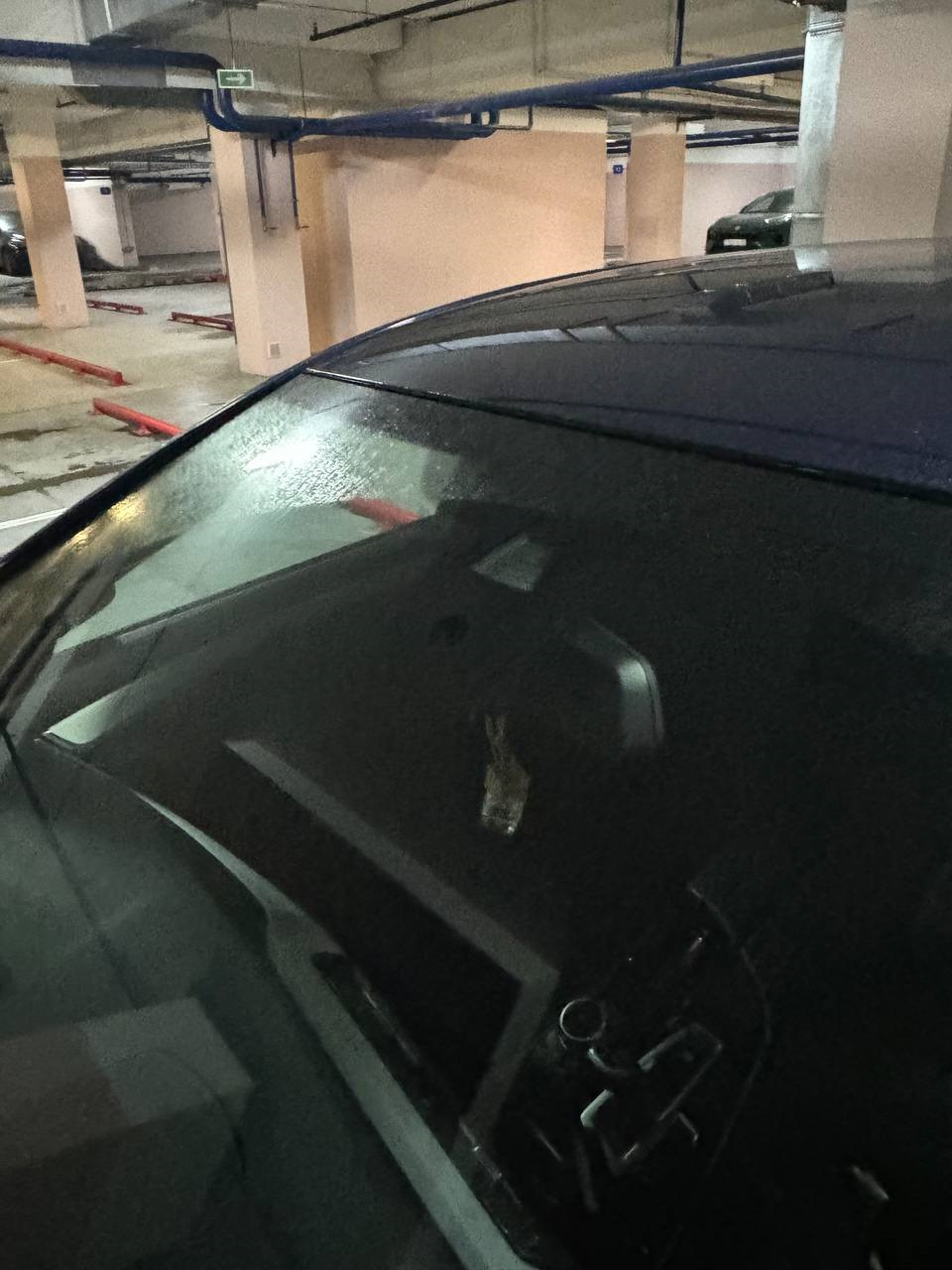 Замена лобового стекла Pilkington — BMW 5 series (F10), 3 л, 2012 года ...