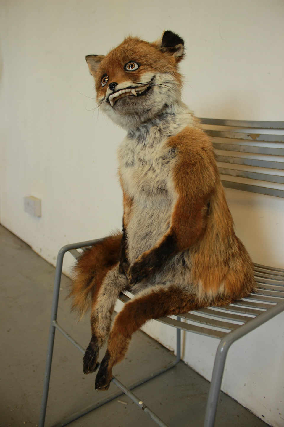 Замена масла в двигатель и коробку. — Honda Accord (9G), 2,4 л, 2016 ...