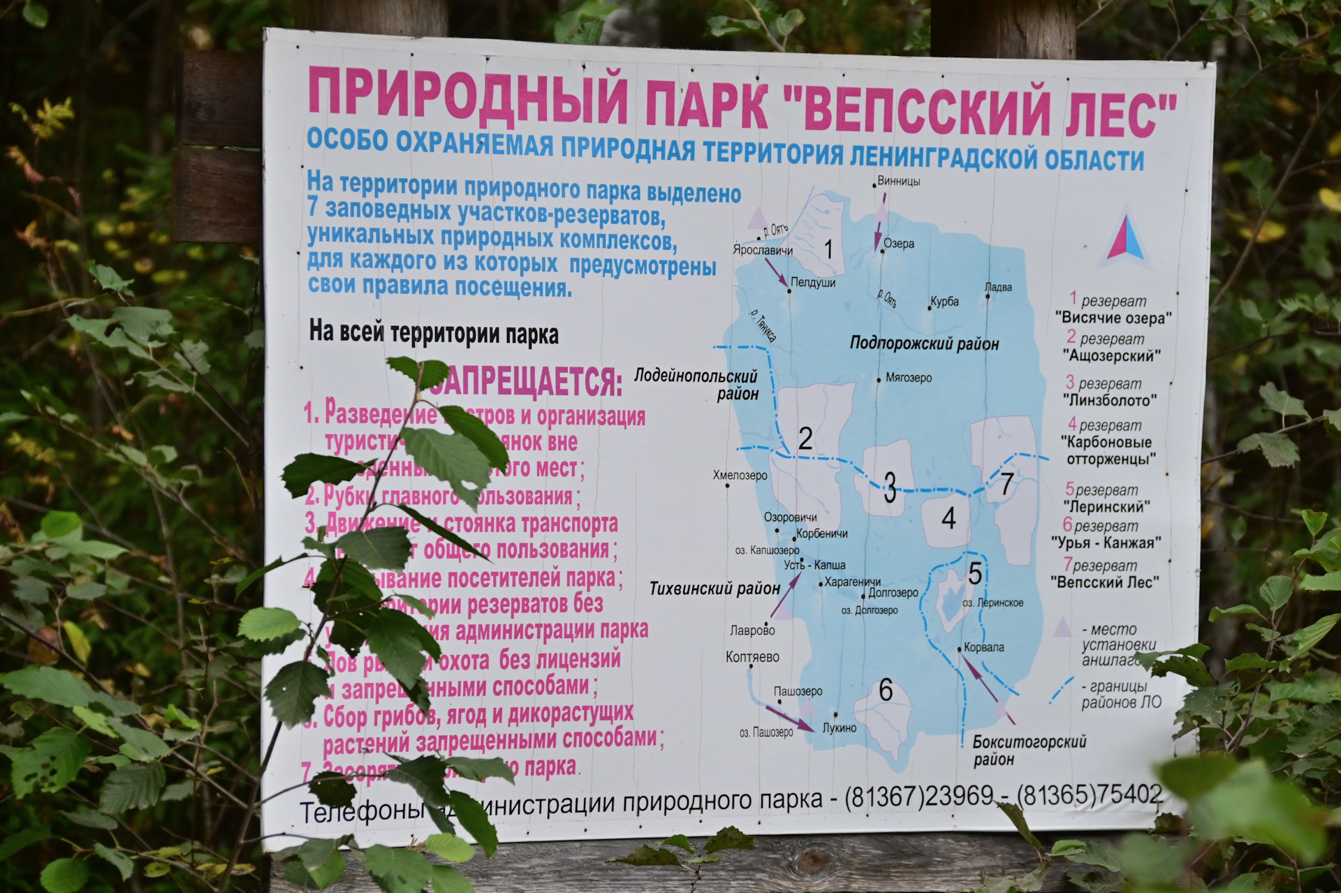 Вепсский лес карта маршрутов