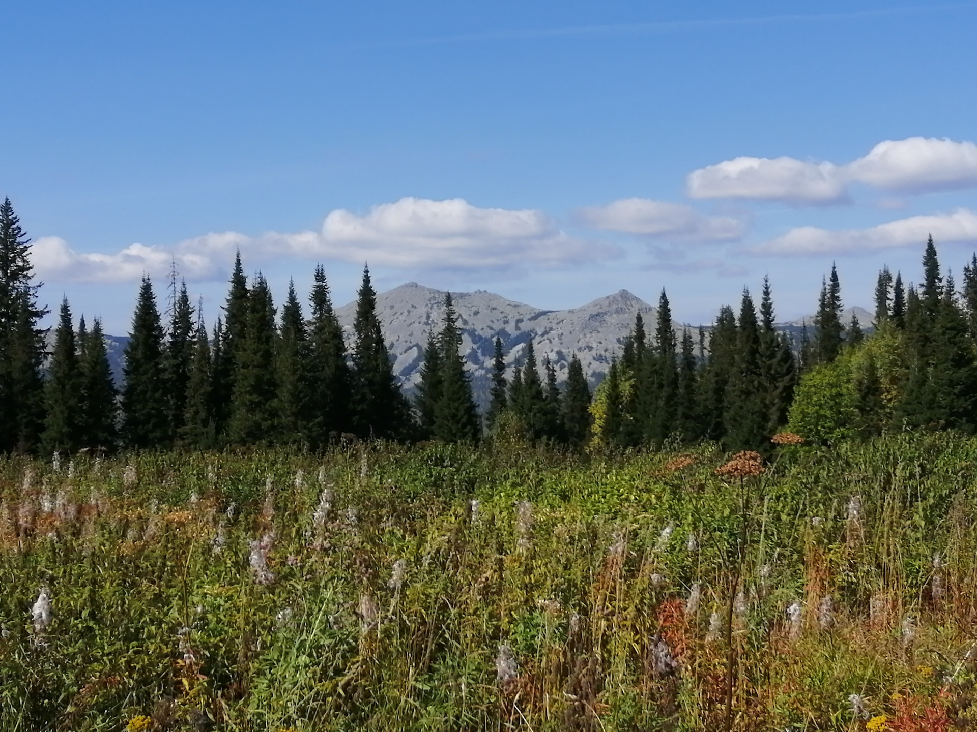 Карта тирлян белорецкий район