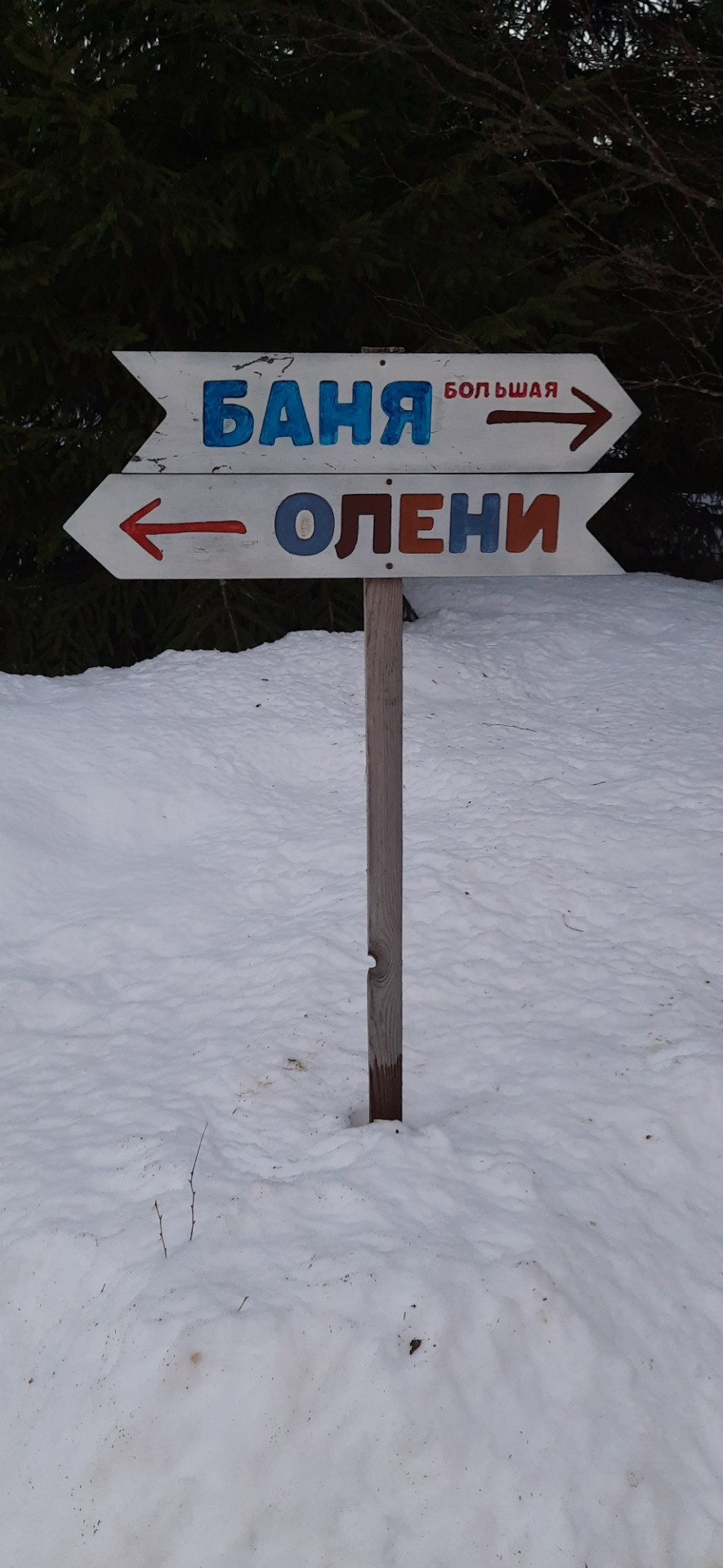 Фото в бортжурнале Nissan Serena Mk IV (C26)