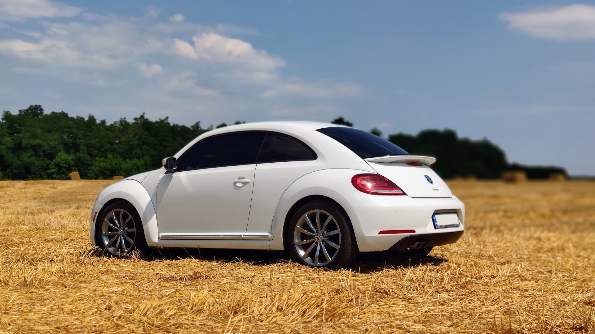 Volkswagen beetle a5. Beetle a5. Фольксваген Жук а5. Wheels Volkswagen Beetle r18. VW Beetle a5 r19.