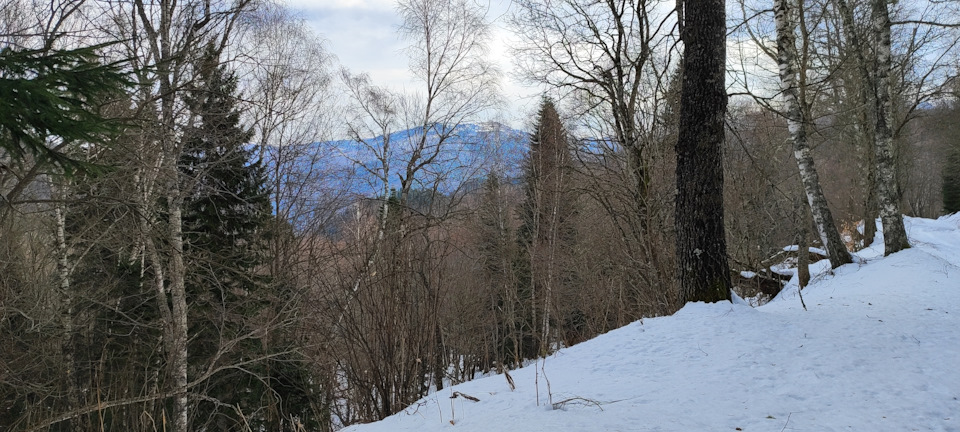 Фото в бортжурнале Mitsubishi Pajero (4G)