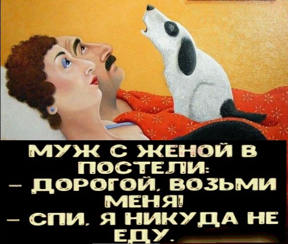 Дорогой возьми меня. Дорогой возьми меня спи я никуда не еду. дорогой мой возьми меня спи я никуда не еду. анекдот дорогой возьми меня спи я никуда не еду.