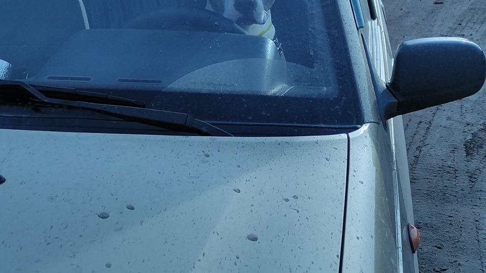 Daewoo Nexia Ксюха