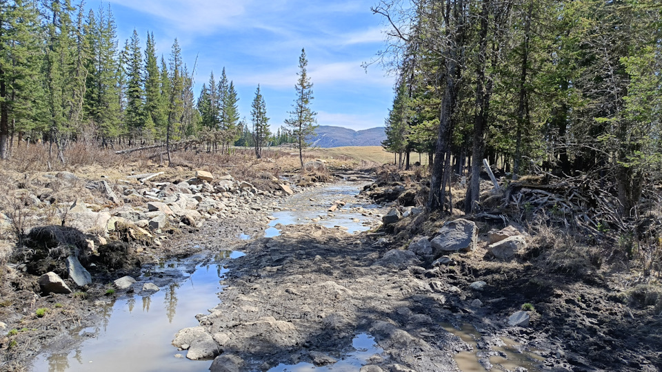 А вроде и ничего такого… — Subaru Impreza (GD/GG)
